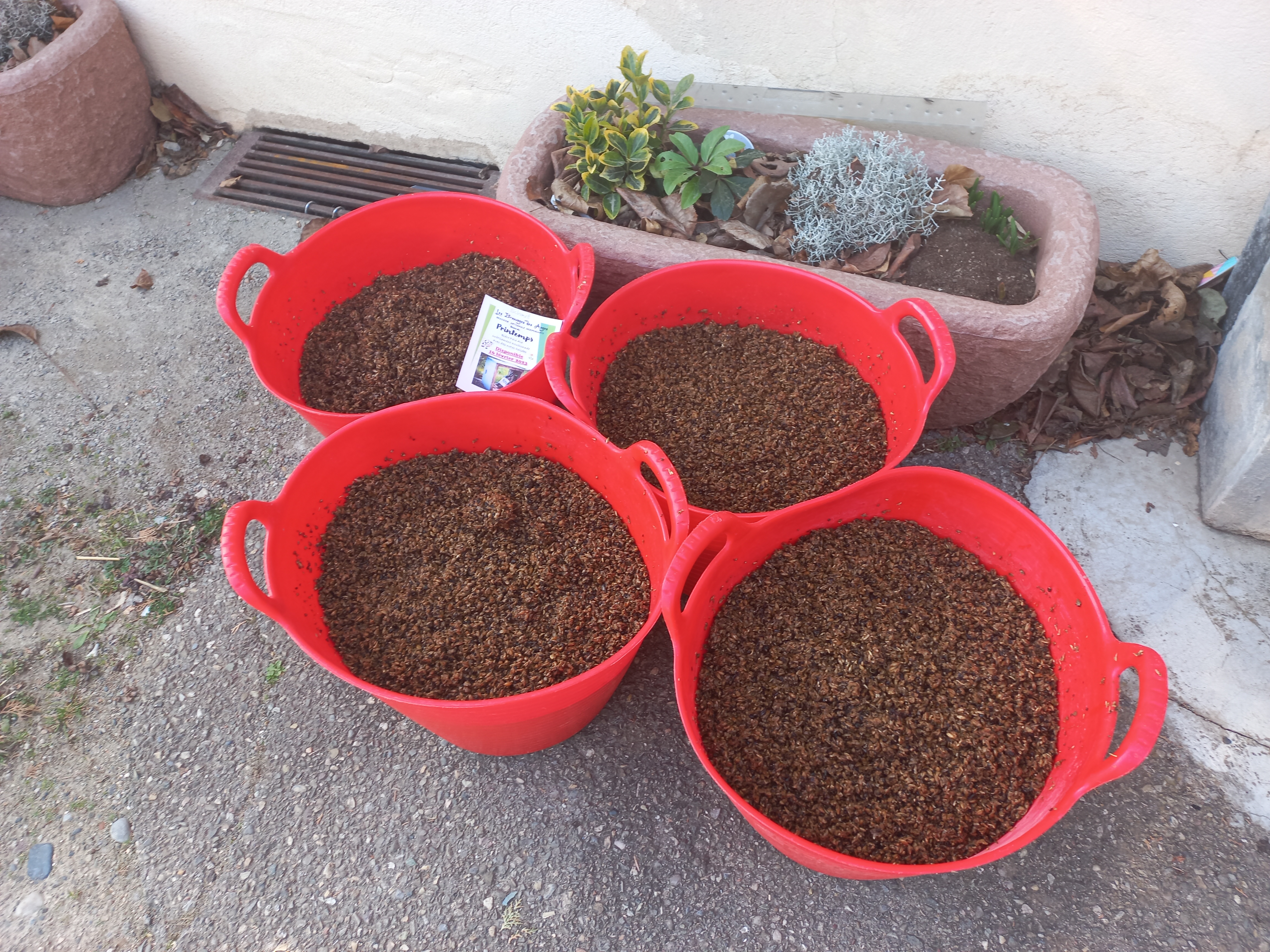 les breuvages des anges