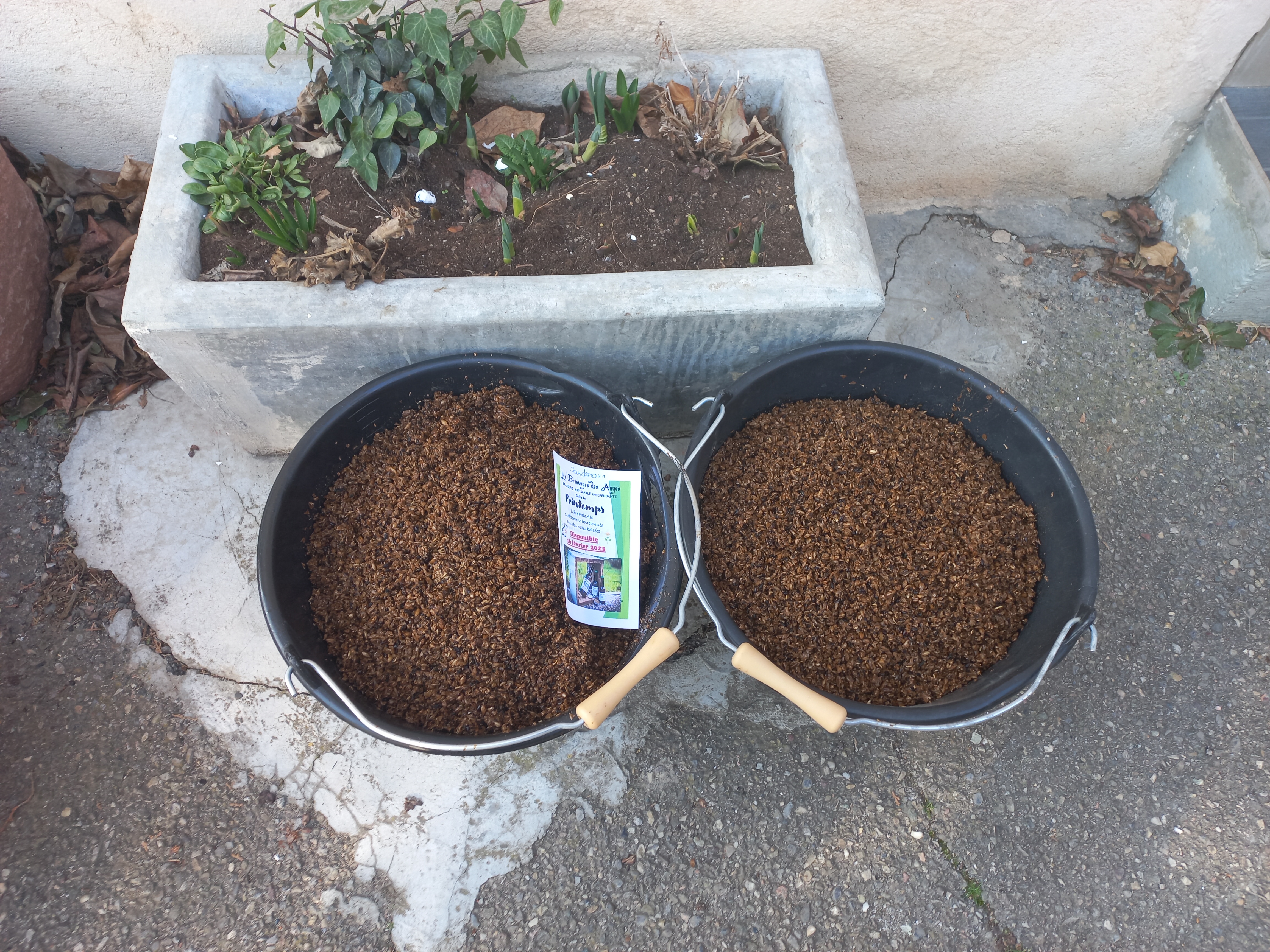 les breuvages des anges